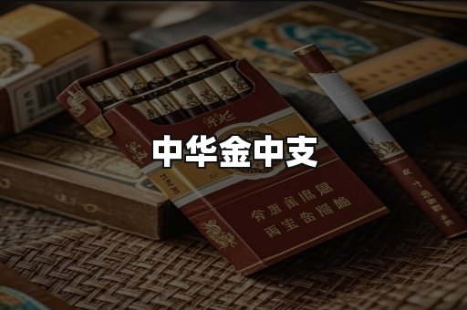 中华金中支